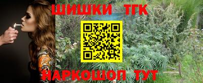 jwh Нальчик