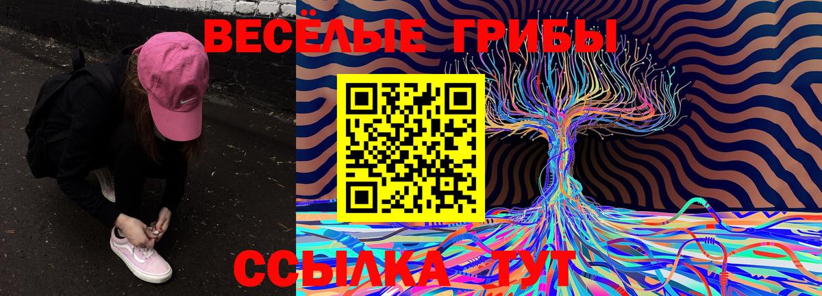 Галлюциногенные грибы Psilocybe  Вход с VPN  Псилоцибиновые грибы Cubensis  Торжок 