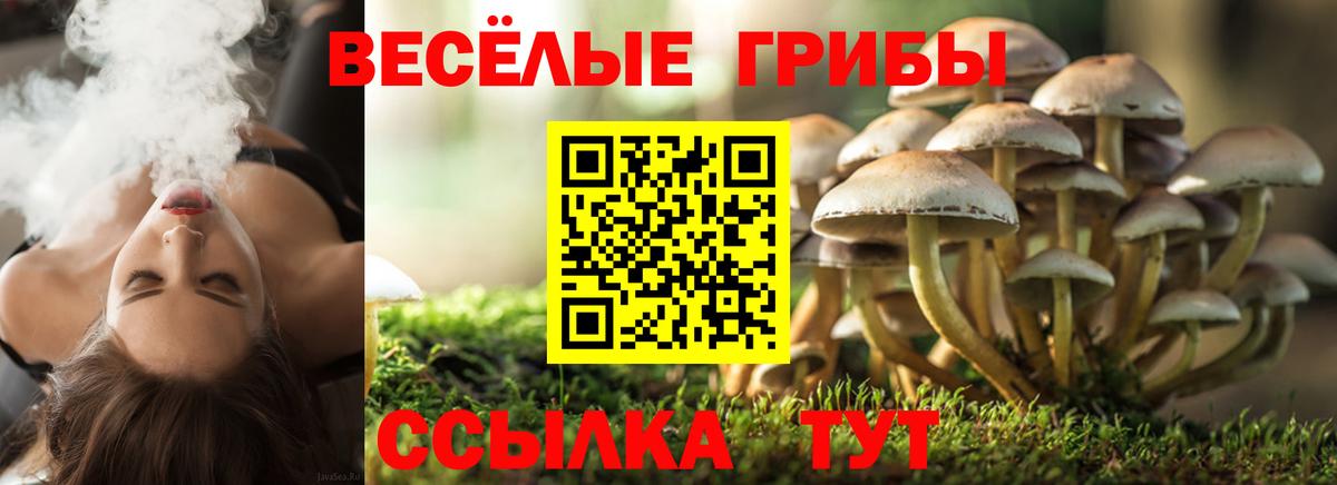 NBOMe Торжок